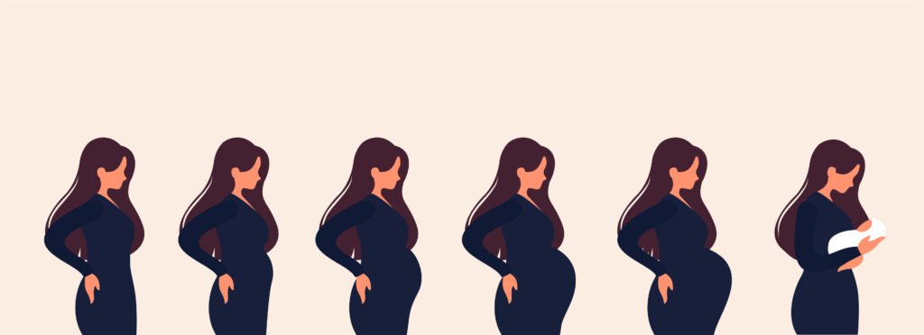 The main stages of pregnancy. Changes in the female body during pregnancy week after week.