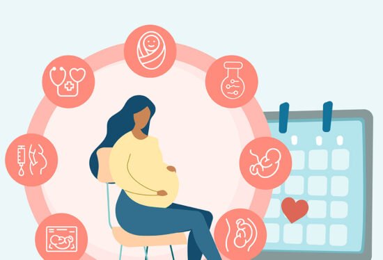 A pregnant lady and different stages of pregnancy with a calendar