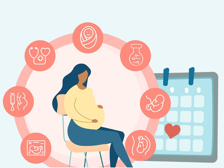 A pregnant lady and different stages of pregnancy with a calendar